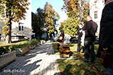 DSCF1690.jpg