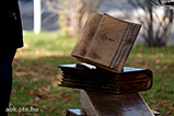 DSCF1705.jpg