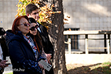 DSCF1716.jpg