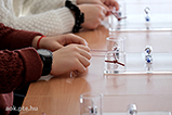 DSCF3766.jpg