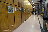 DSCF4532.jpg