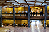DSCF4579.jpg