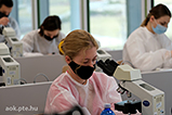 DSCF4775.jpg