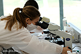 DSCF4780.jpg