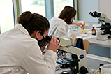DSCF4792.jpg