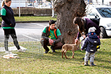 DSCF5811.jpg