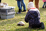 DSCF5815.jpg