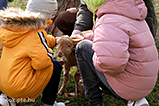 DSCF5819.jpg