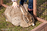 DSCF5825.jpg