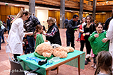 DSCF5893.jpg