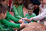 DSCF5895.jpg