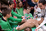 DSCF5896.jpg
