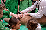 DSCF5903.jpg
