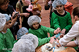 DSCF5914.jpg