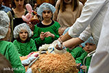 DSCF5925.jpg