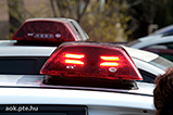 DSCF5955.jpg