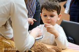 DSCF6006.jpg