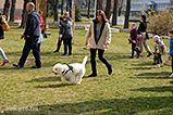 DSCF6025.jpg