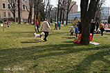 DSCF6026.jpg