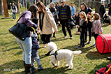 DSCF6029.jpg