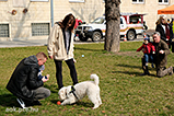 DSCF6030.jpg