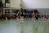 amt37909.jpg