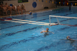 img_6184.jpg
