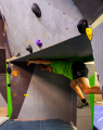 dscf3378.jpg