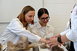 DSCF7319.jpg