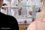 DSCF7411.jpg