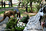 DSCF5533.jpg