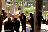 DSCF5552.jpg