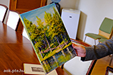 DSCF6763.jpg