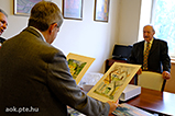 DSCF6774.jpg