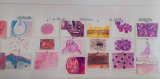 anatomia_tarlat_20220920_11.jpg