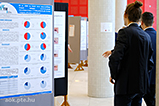DSCF7239.jpg