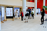 DSCF7247.jpg