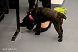DSCF8066.jpg