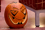 DSCF8207.jpg