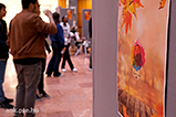 DSCF8211.jpg