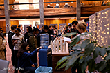 DSCF8231.jpg