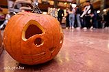 DSCF8232.jpg