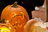 DSCF9513.jpg