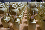 DSCF1219.jpg