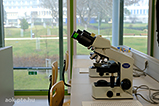 DSCF4535.jpg