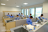 DSCF4547.jpg