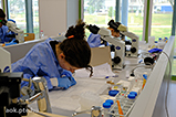 DSCF4567.jpg