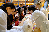 DSCF4737.jpg