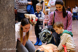 DSCF4750.jpg