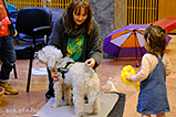 DSCF4752.jpg
